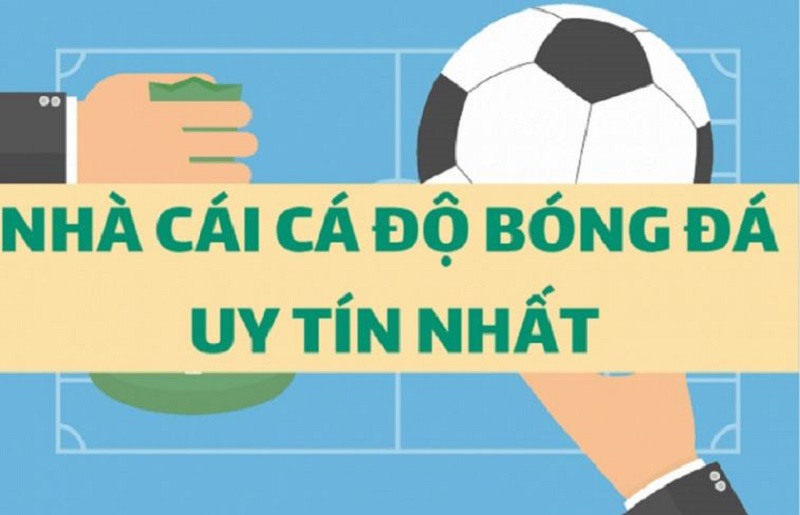 Gợi ý top các trang cá độ bóng đá hàng đầu Việt Nam